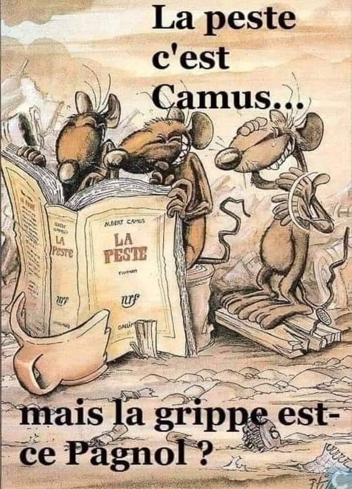 Camus-Pagnol.jpg